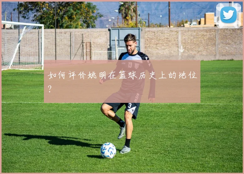 如何评价姚明在篮球历史上的地位?