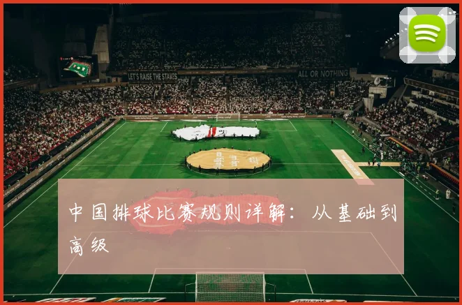 中国排球比赛规则详解：从基础到高级