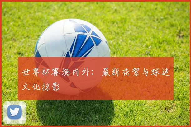 世界杯赛场内外：最新花絮与球迷文化掠影
