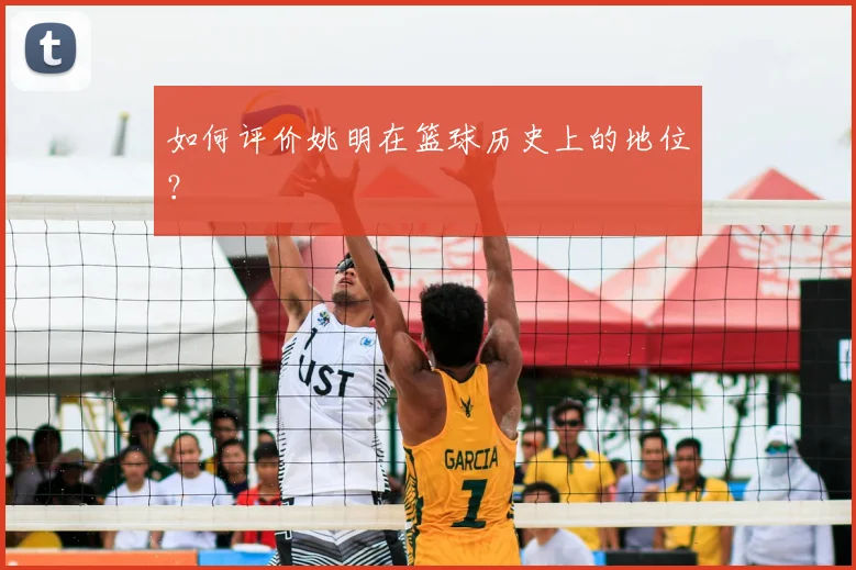 如何评价姚明在篮球历史上的地位？